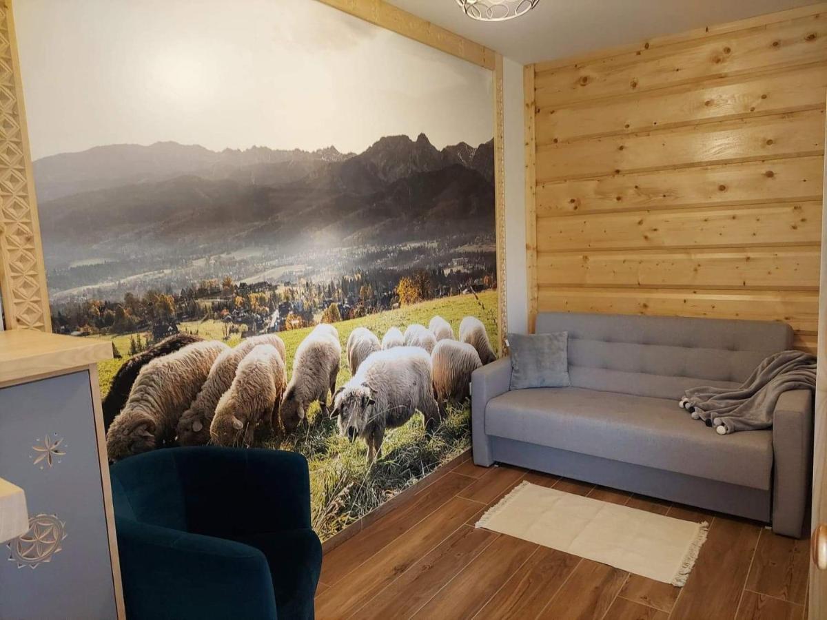 Apartamenty Bachledzki Wierch Zakopane Exterior photo